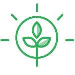 Icone Eco